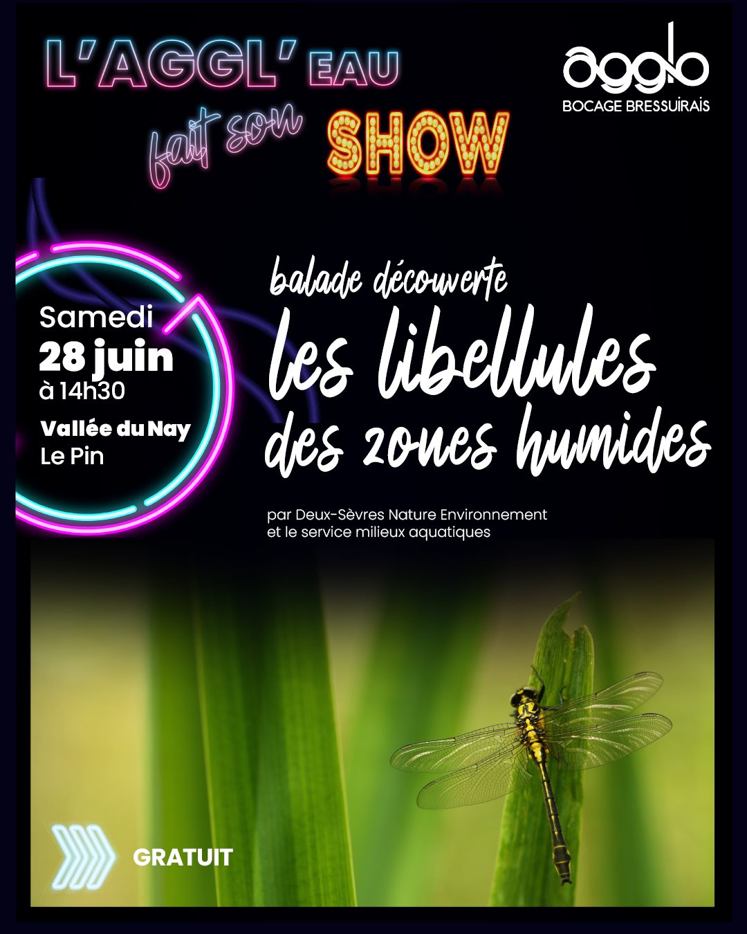 ISTA_Portrait L’Agglo fait son show Le Pin
